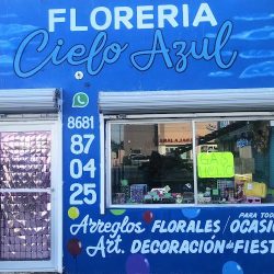 Floreria Cielo Azul