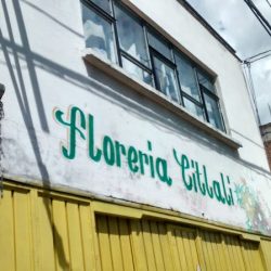 Florería Citlali
