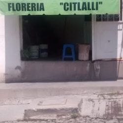 Floreria Citlalli