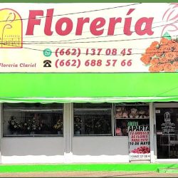 Floreria Clariel Centro