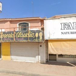 Floreria Claudia