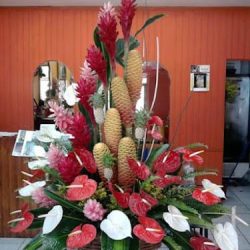 Floreria Clavel
