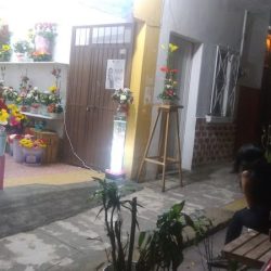Floreria Coatepec