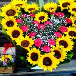 Florería Coatepec