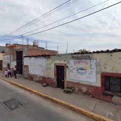 Florería Colibri