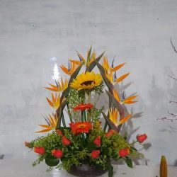 Florería Colibrí