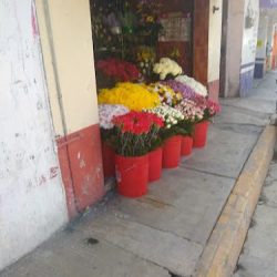 Florería Colibrí