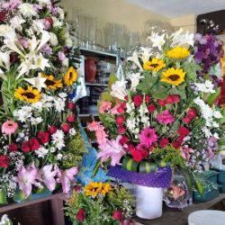 Florería Colotlan