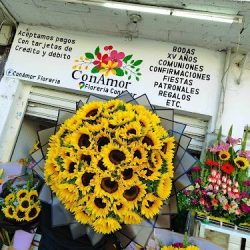 Floreria Conamor
