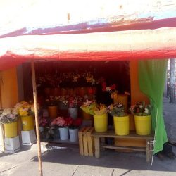 Florería Concepción