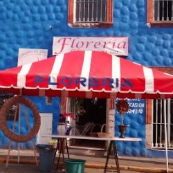 Florería Concepto En Flor