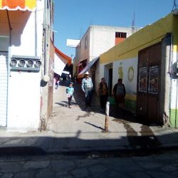 Floreria Conchita