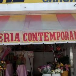 Florería Contemporáneo
