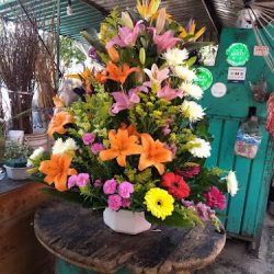 Florería Contreras