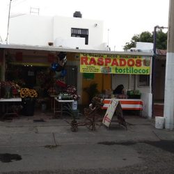Floreria Corachon