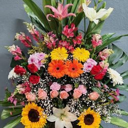 Florería Coral