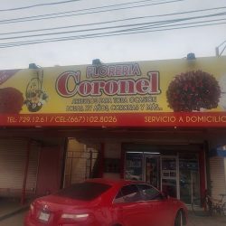 Florería Coronel
