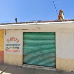 Floreria Cortes Salinas