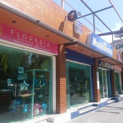 FlorerÍa Costa Azul