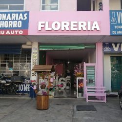 Florería "creer Es Crear"