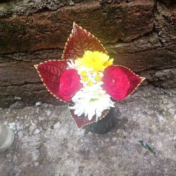 Floreria Cris