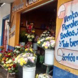 Floreria Crisantemos