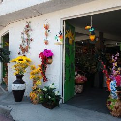 Florería Cristal