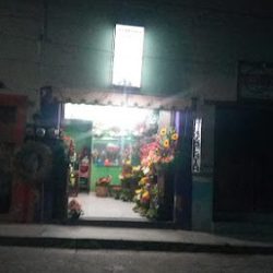 Florería Cristal