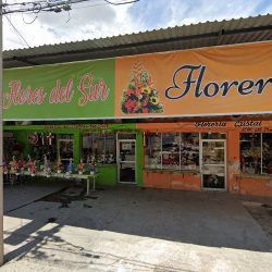 Floreria Cristal