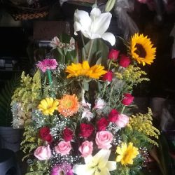 Floreria Cristo Rey