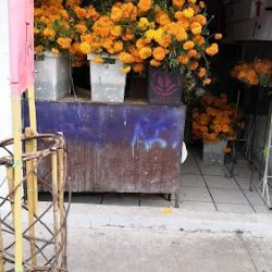 Florería Cristy