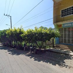 Floreria Cruz