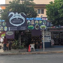 Florería Crystal