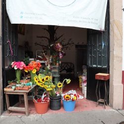 Floreria Cuautla