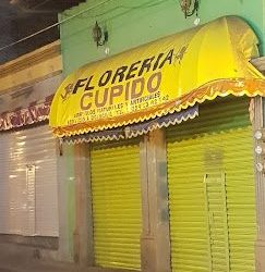 Florería Cupido