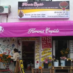 Floreria "cupido"
