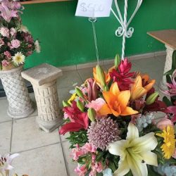 Florería Cupido Bodega