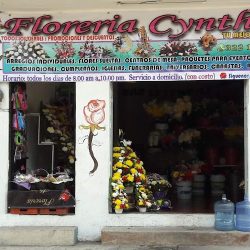 Florería Cynthia