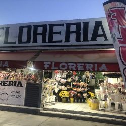 Floreria D' Alexander