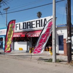 Florería D'alexander´s