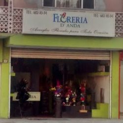 Floreria D'anda