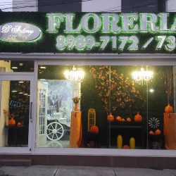 Florería D´antony