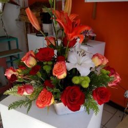 Florería D'carlos