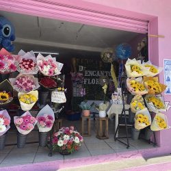 Floreria D’encanto