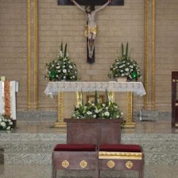 Floreria D Ilusion
