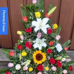 Floreria D Ines
