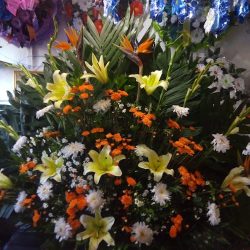 Florería D'karol