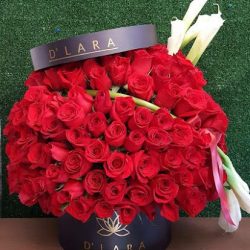 Floreria D'lara