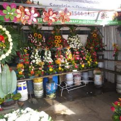 Florería D Laura