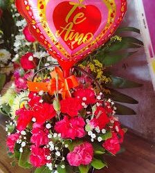 Florería D'lucia